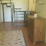 Tognoloni Gubbio