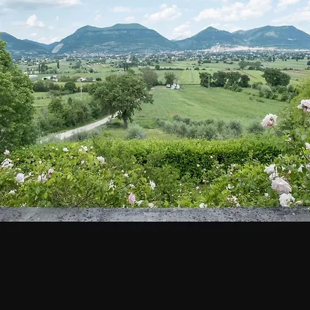 Farm stay Tognoloni *