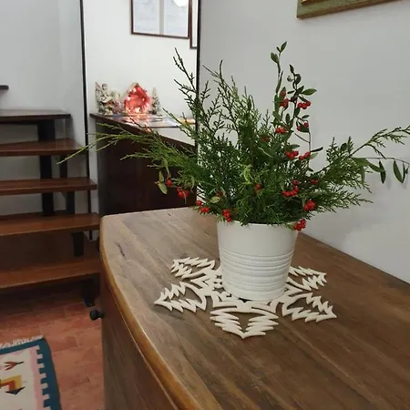 Tognoloni * Gubbio