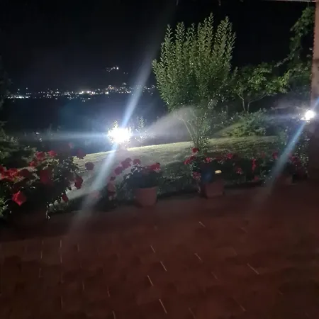 Tognoloni Lantgård *