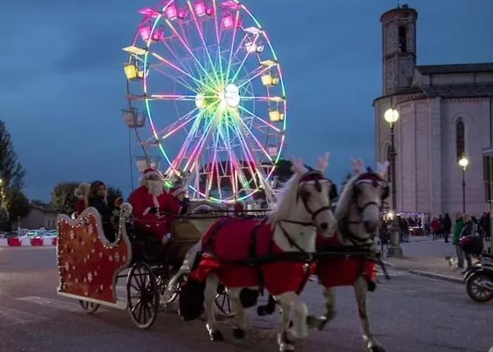 Tognoloni גוביו