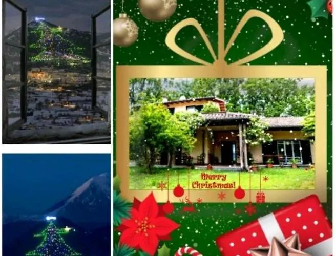 Tognoloni גוביו