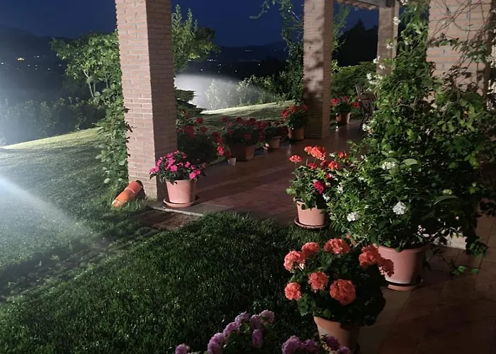 Tognoloni גוביו